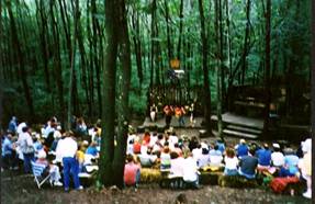 Show in the woods France.jpg